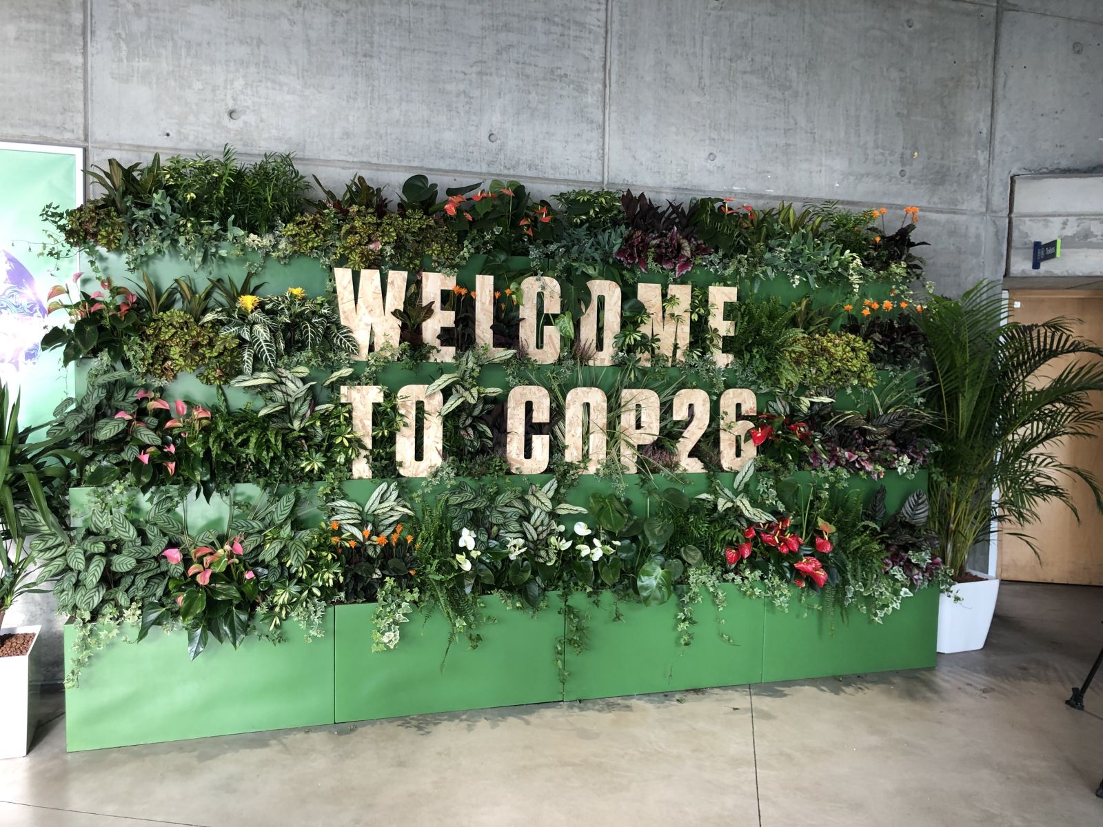 A green, leafy sign with COP26 and plants