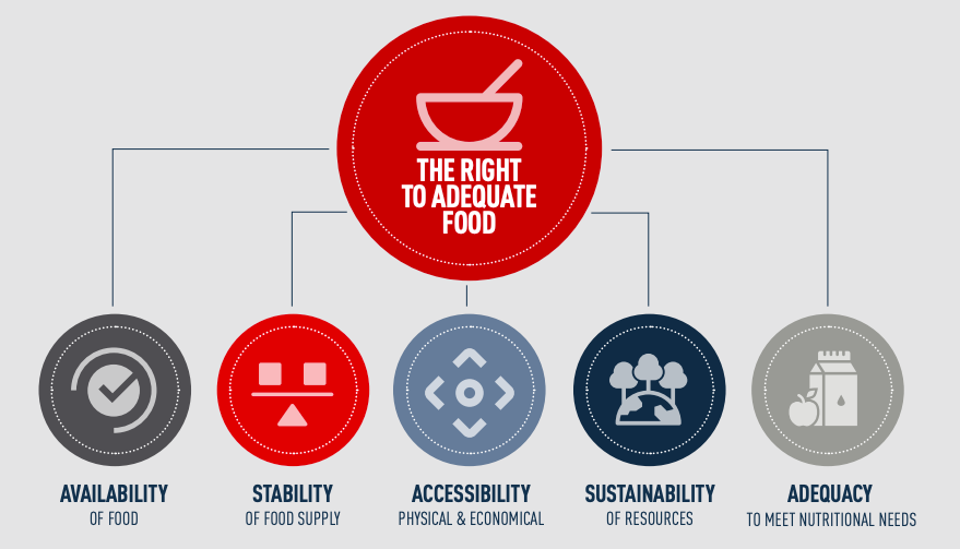 Infographic naming the five conditions that need to be met to achieve the right to adequate nutririon.