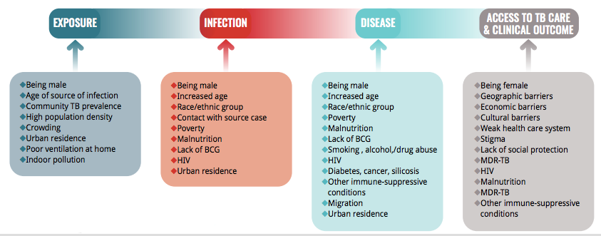 Graph - TB risk factors