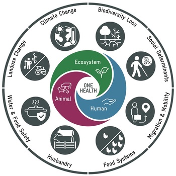 A diagram with 3 layers of circles. In the middle of the circle, text: one health. Second circle: ecosystem, animal, human. Third outer circle: biodiversity loss, social determinants, migration and mobility, food systems, husbandry, water and food safety, landuse change, climate change. 