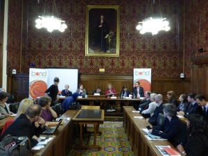 Parliamentary event to celebrate International Day of Persons with Disabilities, 3rd December 2014